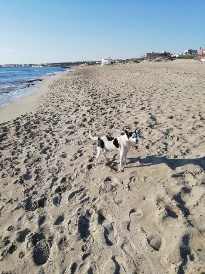 Baia Verde Appartamento 150 M Dal Mare Gallipoli Zewnętrze zdjęcie